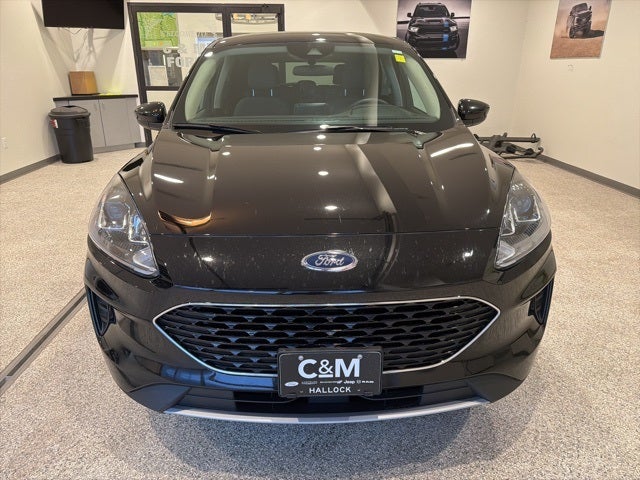 Used 2020 Ford Escape SE with VIN 1FMCU9G61LUC36455 for sale in Hallock, Minnesota