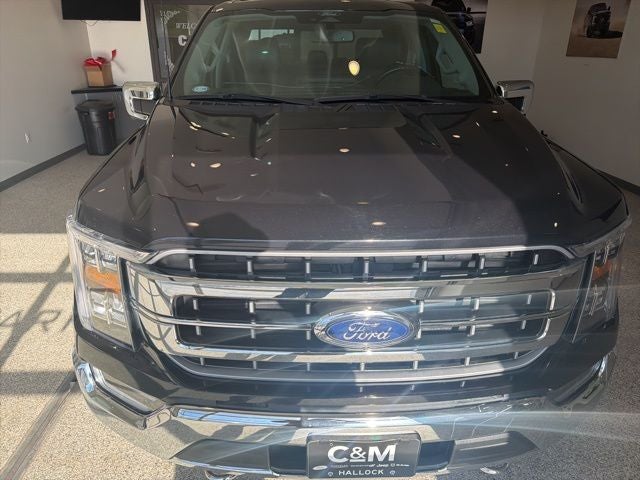 Used 2022 Ford F-150 Lariat with VIN 1FTFW1E80NKE74006 for sale in Hallock, Minnesota